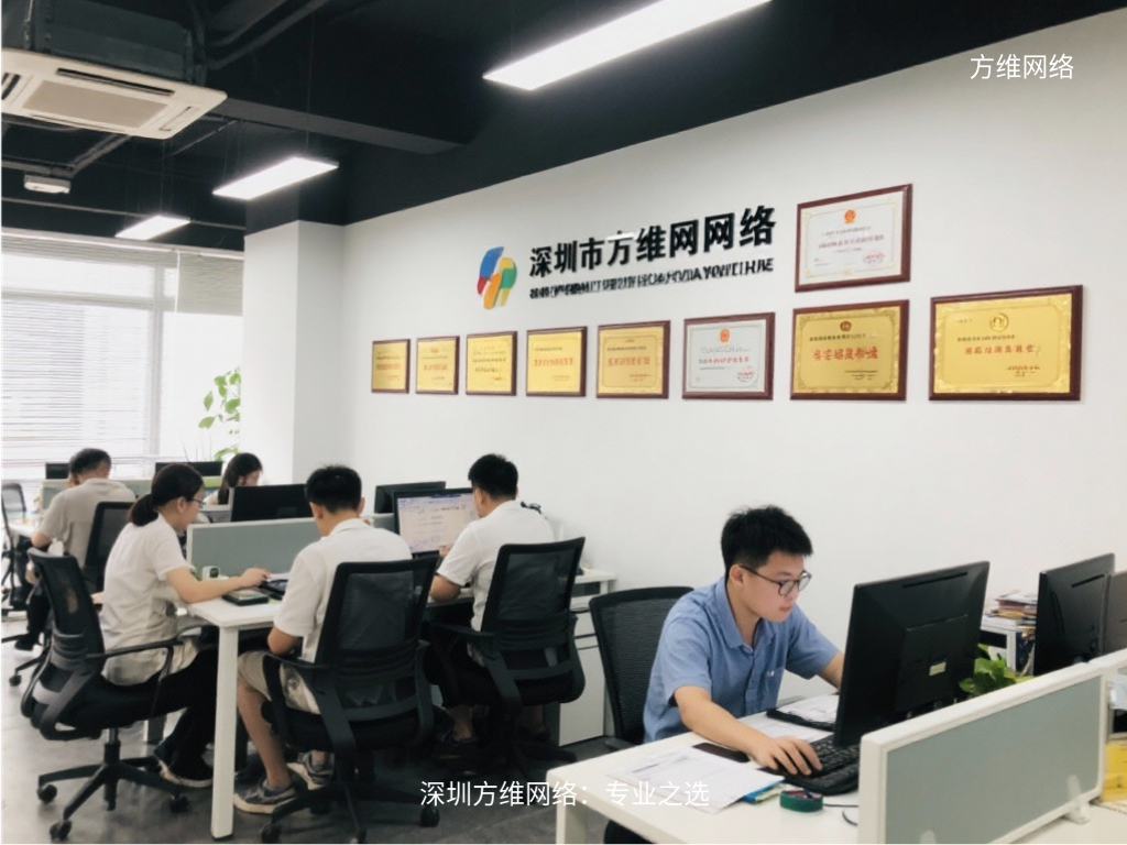 深圳方維網絡：專業之選