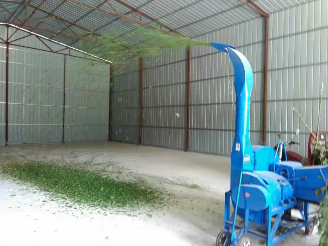 廣西甘蔗葉可以鍘嗎?用多大的鍘草機(jī)?